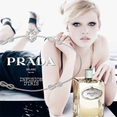 Lara stone pradapinfusion diris gaunta - Eugenol