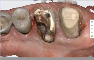 Lcw4hogc6bkstumgrynhw6zmxtb4 - Eugenol