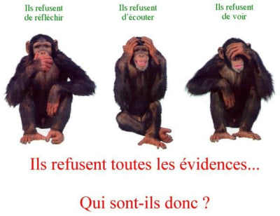 Les3singesdelacsnd citvig - Eugenol