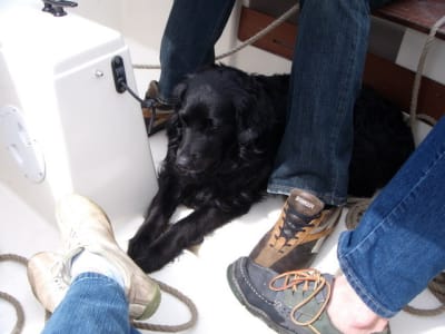 Lesquels c est mes pieds whay1a - Eugenol