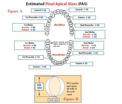 Lightspeed ttlcfi - Eugenol