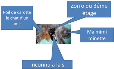 Ma mimi minette z6dpvs - Eugenol