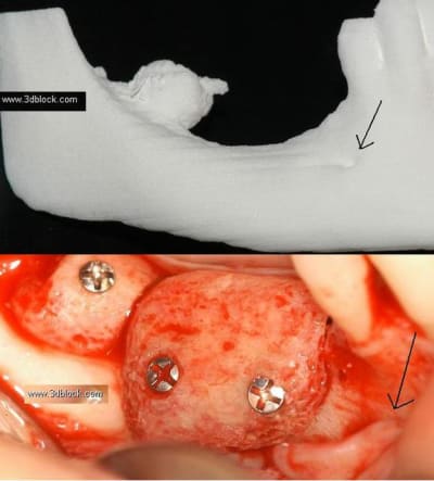 Mentonnier lupxhk - Eugenol