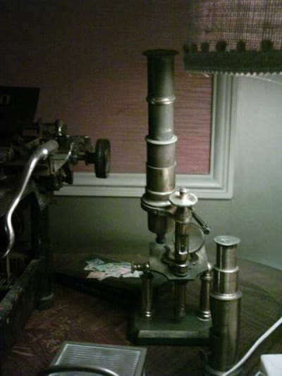 Microscope 1912 xciunc - Eugenol