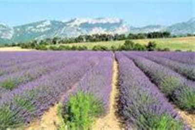 Montagne au loin rcgqis - Eugenol