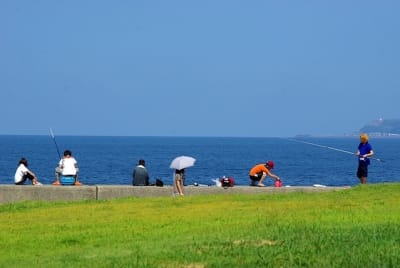 Ndch  20  cdxlws - Eugenol