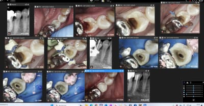 Ou4a6dpzb8jsf9z2kjzgkjux7q0s - Eugenol