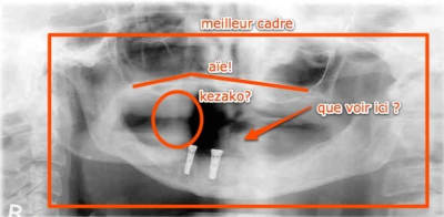 Pano pas top tnhu3x - Eugenol