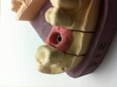 Photo 4 dagqjb - Eugenol