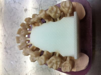 Photo 5 wgmjaa - Eugenol