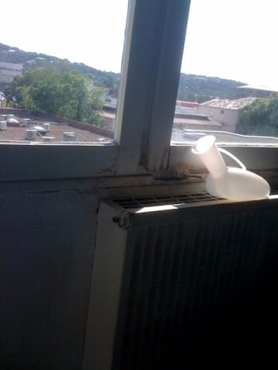 Photo clinique cayquj - Eugenol