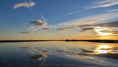 Plage napol on 11112010 008 hmb7qi - Eugenol