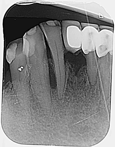 Po8nqtg3gziwfv59pzw6 - Eugenol