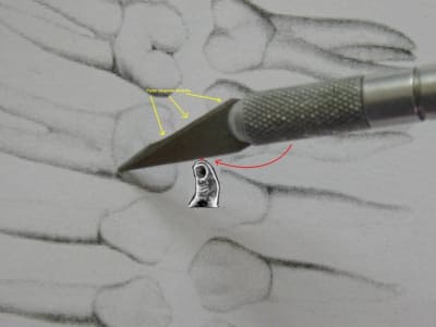 Pouce3 vpgdn9 - Eugenol