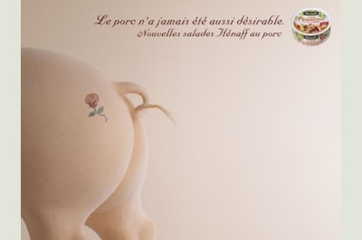 Pour naubru sxhtgr - Eugenol