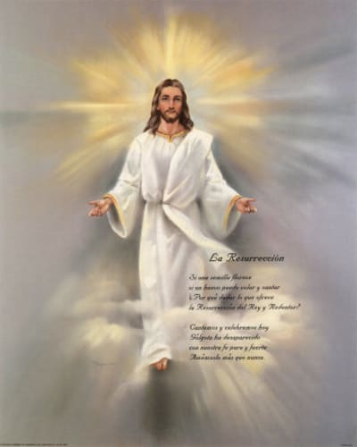 Resurrection sbykbq - Eugenol