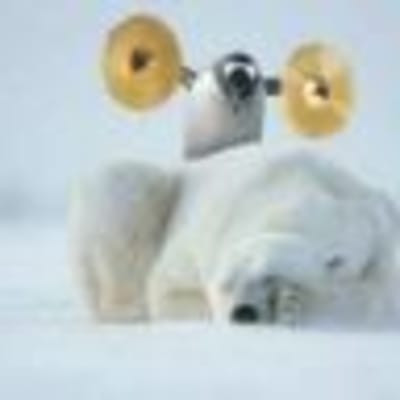 Reveil zfr1pr - Eugenol