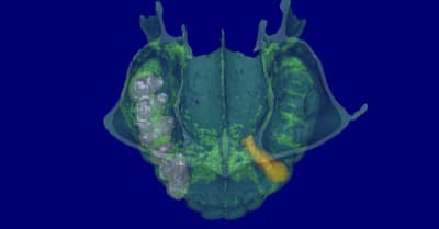 Richard 3d sfws9o - Eugenol