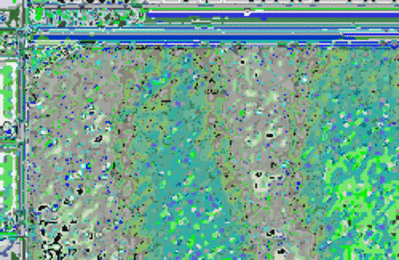 Rulebritania nweeml - Eugenol