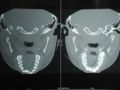 Scan2 shnjyv - Eugenol