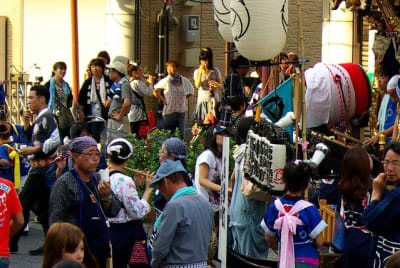 Tksk  171  ryaoc4 - Eugenol