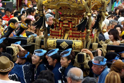 Tksk  205  uzhk3t - Eugenol