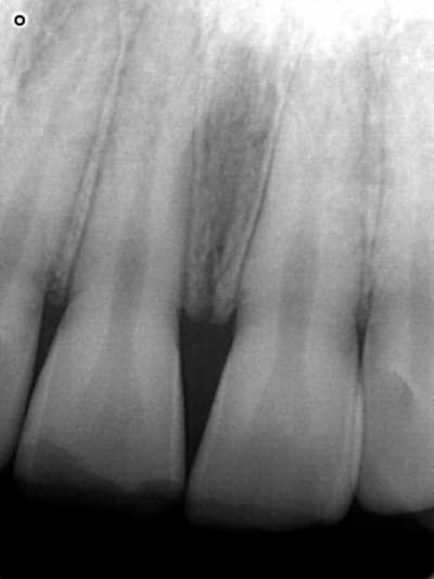 Toto jtg1ms - Eugenol