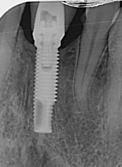 V1381wrrzvbtgfmogjgc - Eugenol