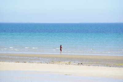 Vouicestsur o4s5qm - Eugenol