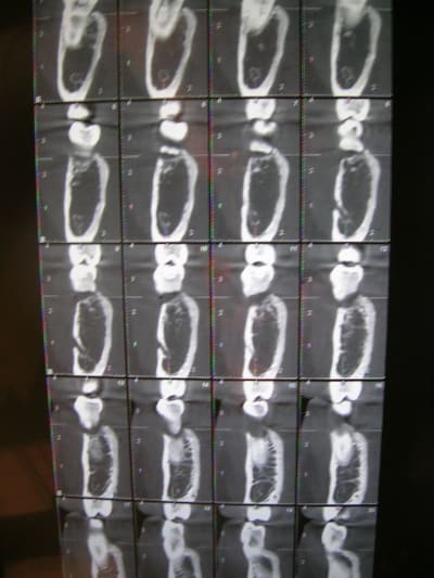 Vtyw2qvez7kml6xbbqyj - Eugenol