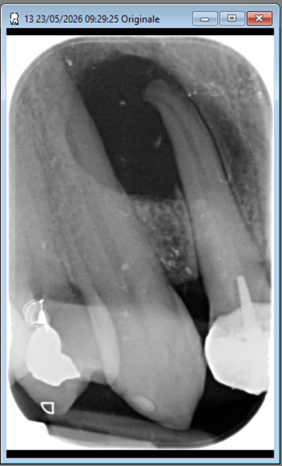 Wy1qhk6ocy2u4e3d30vb5uxwiewt - Eugenol