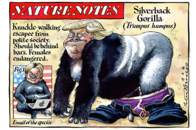 X9wd12i72c8ml1mqd1yq9v2qipbm - Eugenol