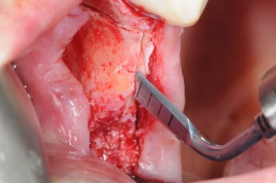 Xnnntkof0fugawchm46x - Eugenol