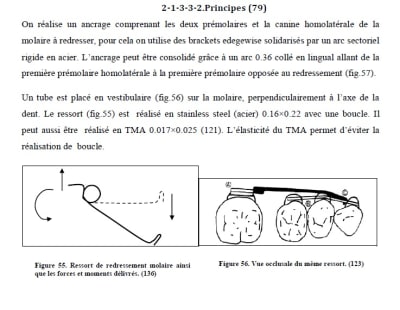 Zi5qlv0caxwqtfalu28pe1k9jlbe - Eugenol