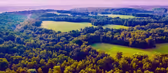 An aerial view of a lush forest with clearings of green grass illuminated by sunlight beneath a purple-tinged sky. Trees form dense patches, and the landscape stretches into hills in the distance. Sun rays pierce through the sky, creating a serene atmosphere.