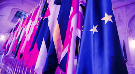 A row of international flags is displayed in an ornate indoor setting with a soft purple lighting. The focus is on the European Union flag with yellow stars, among other colorful flags. The background shows elegant architectural details.