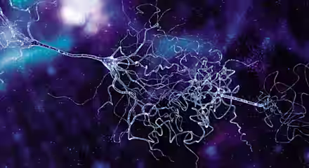 An artistic depiction of a network of neurons, showcasing interconnected axons and dendrites against a glowing, cosmic background in shades of purple and blue. The intricate tangle of neural connections suggests activity and complexity.
