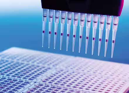 A close-up view of a multi-channel pipette dispensing liquid samples into a 96-well plate. The tips of the pipette are seen aligned above the plate, ready to transfer the liquid, with a blue and purple background emphasizing the laboratory setting.