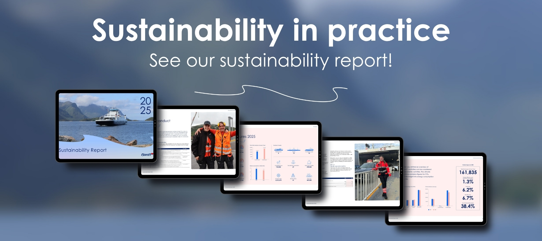 Sustainability Reports