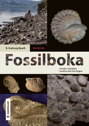 Fossilboka
