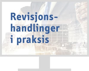 Revisjonshandlinger i praksis