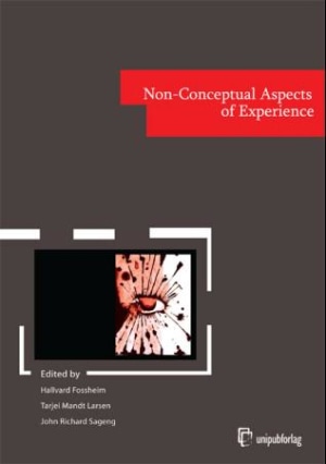 Non-conceptual aspects of experience, e-bok