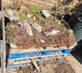 A bug hotel, providing a habitat for insect using old wooden pallets