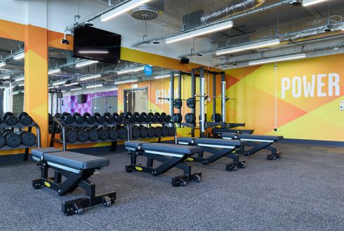 weights area in a colourful gym space