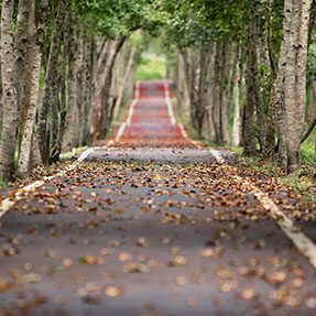 Road is long287