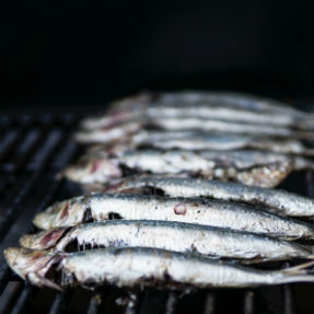 Oily fish Oily fish