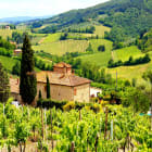 Rolling Hills of Tuscan Countryside in Chianti