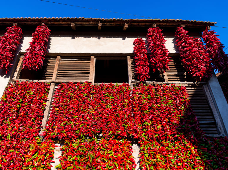 House Covered in Strings of Red Chillies in Belgrade