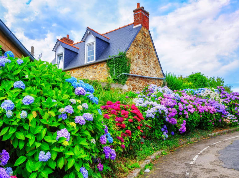 Brittany cottage on colorful roadside