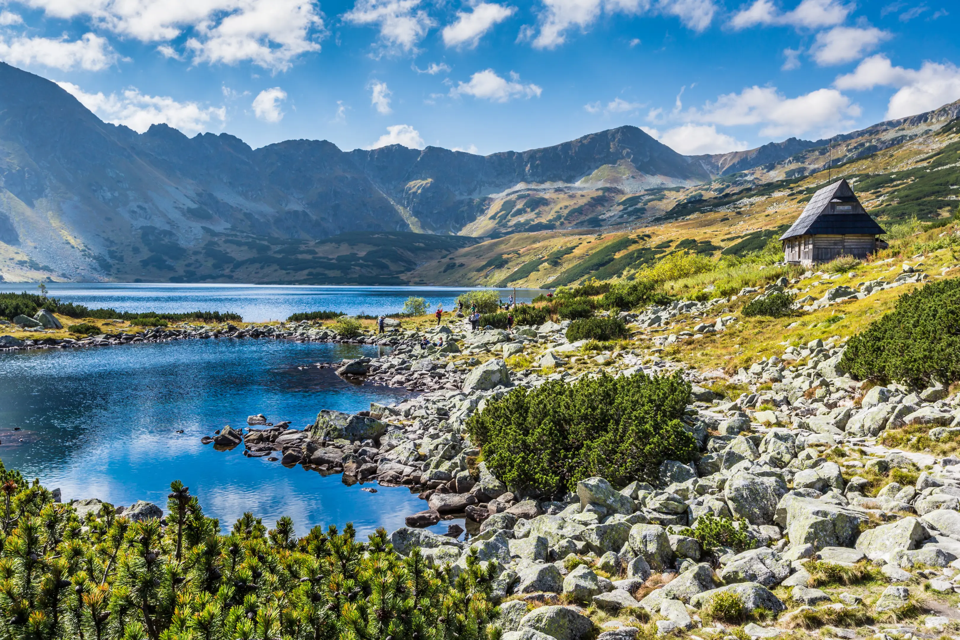 Scenic View of Lake and Mountains in Zakopane